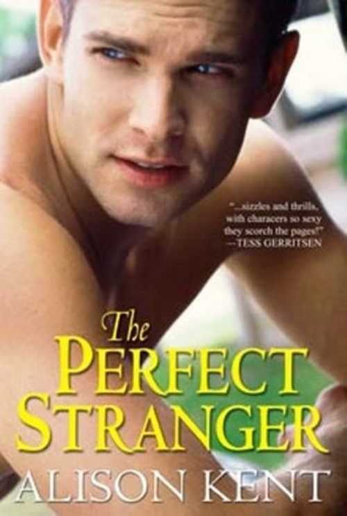 Product picture Alison Kent - The Perfect Stranger (erotic)