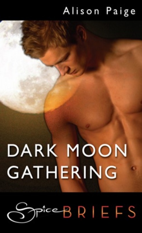 Product picture Alison Paige - Dark Moon Gathering (erotic)
