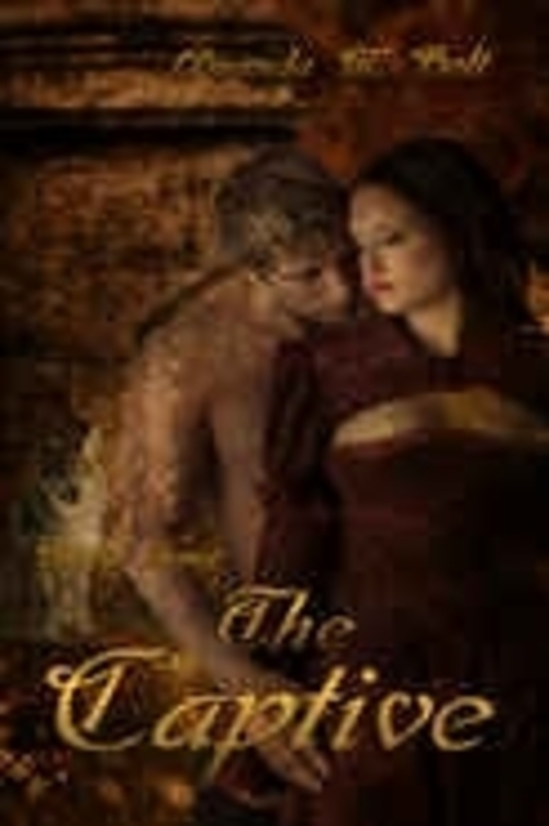 Product picture Amanda M Holt - The Captive (erotic)