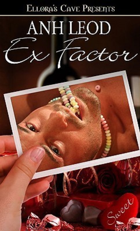 Product picture Anh Leod - Ex Factor (erotic)